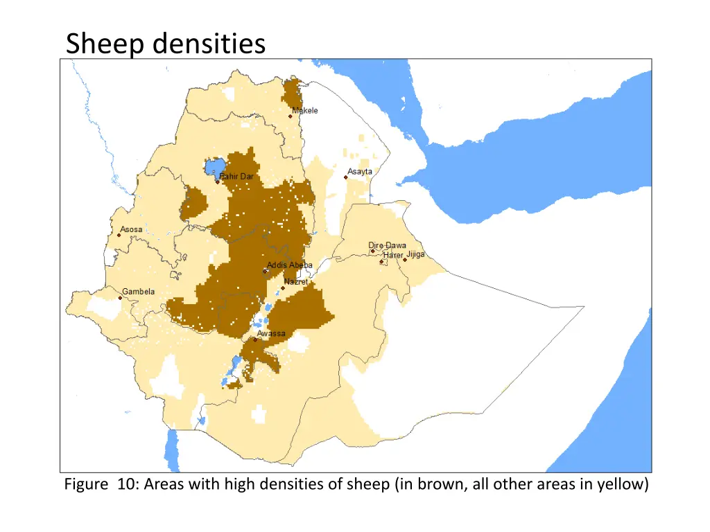 sheep densities 1