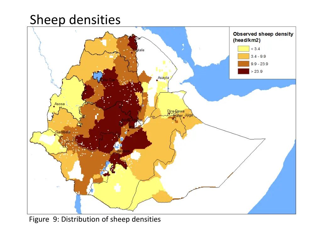 sheep densities