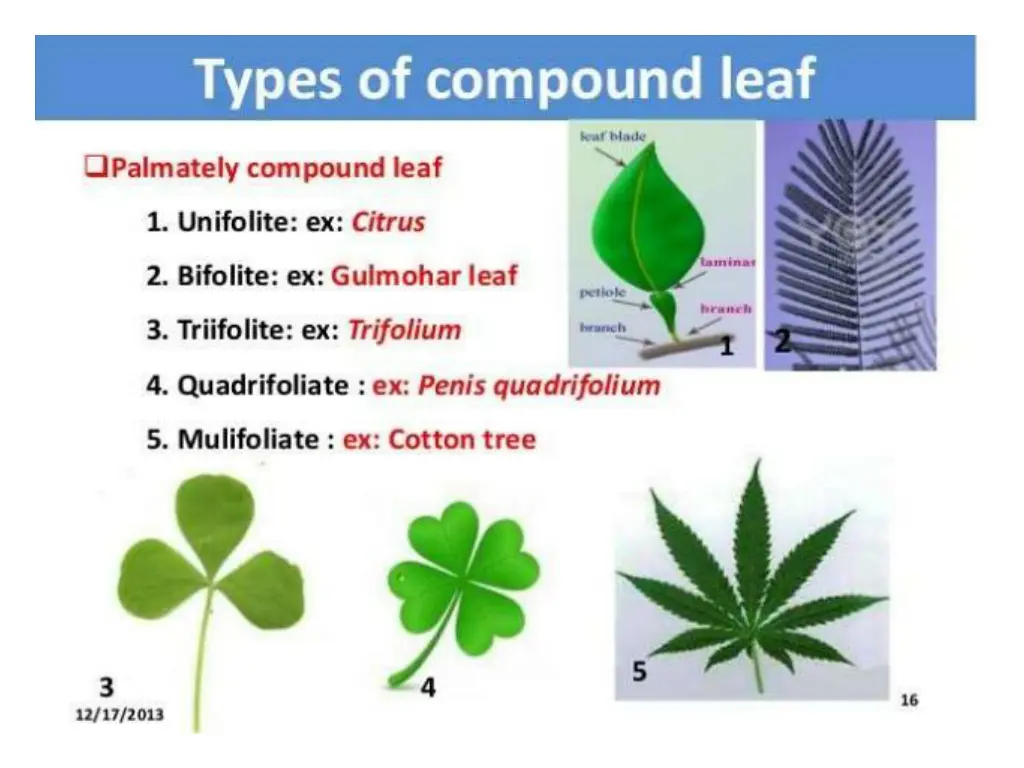 slide6