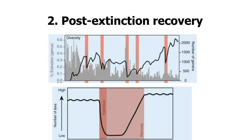 2 post extinction recovery