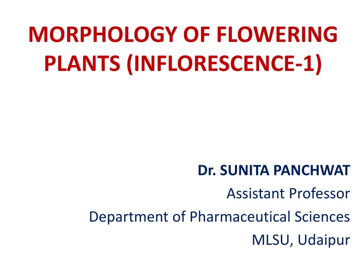 morphology of flowering plants inflorescence 1