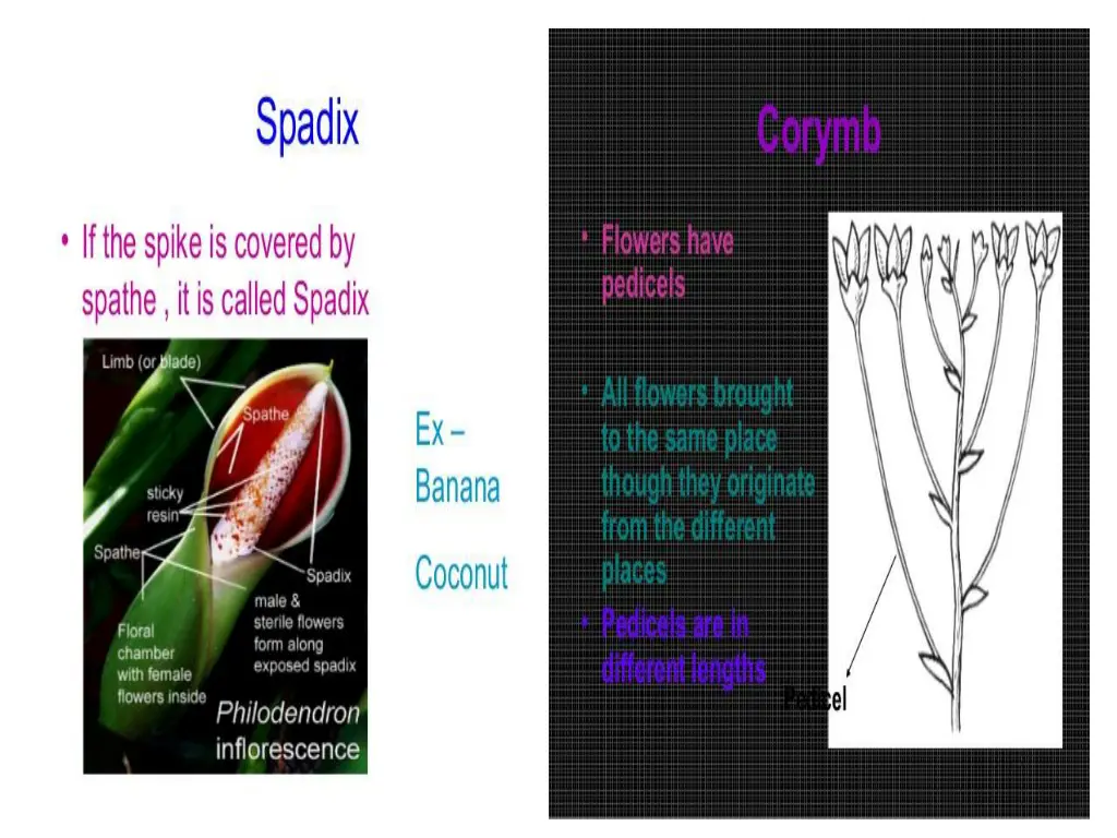 slide10