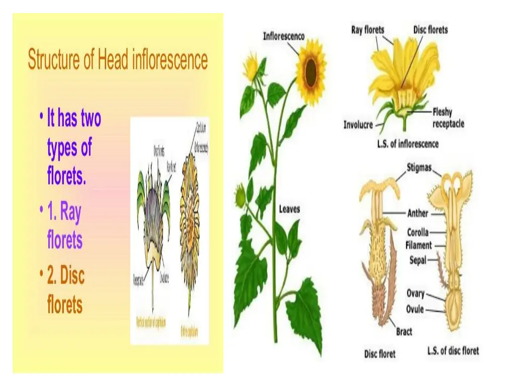 slide13