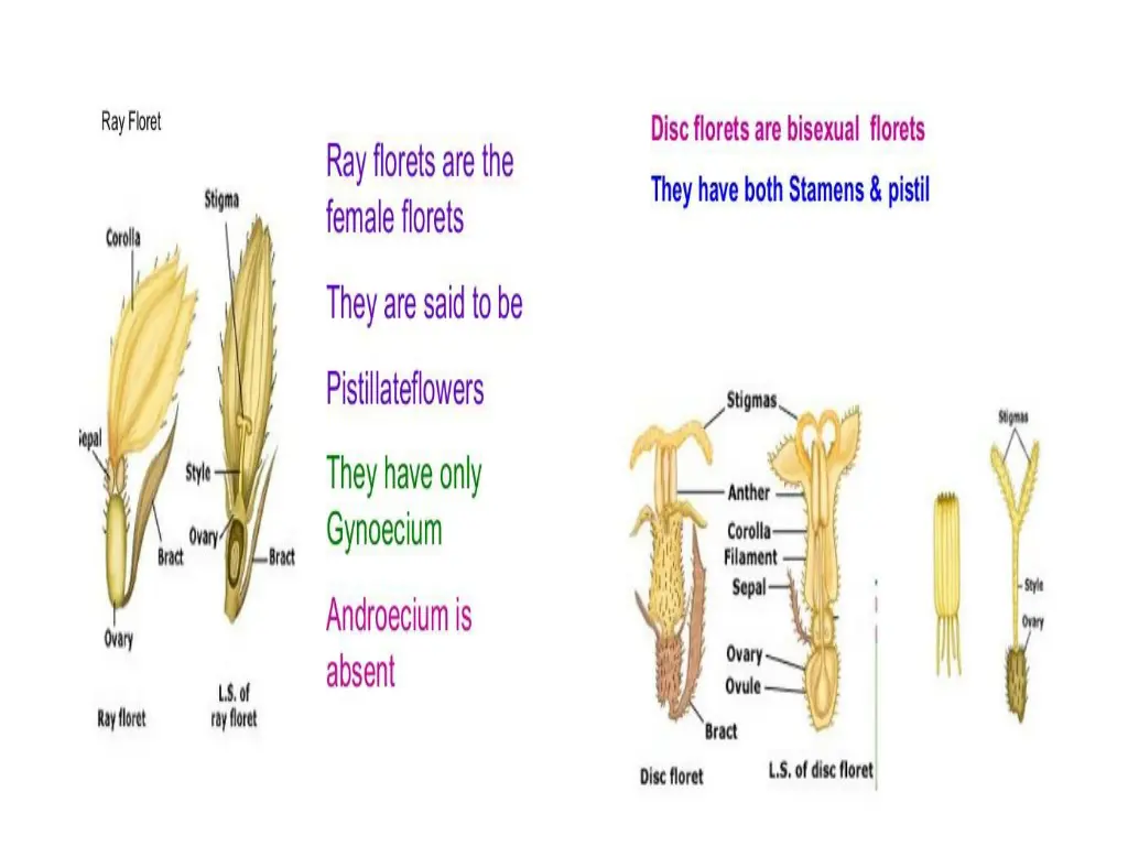 slide14