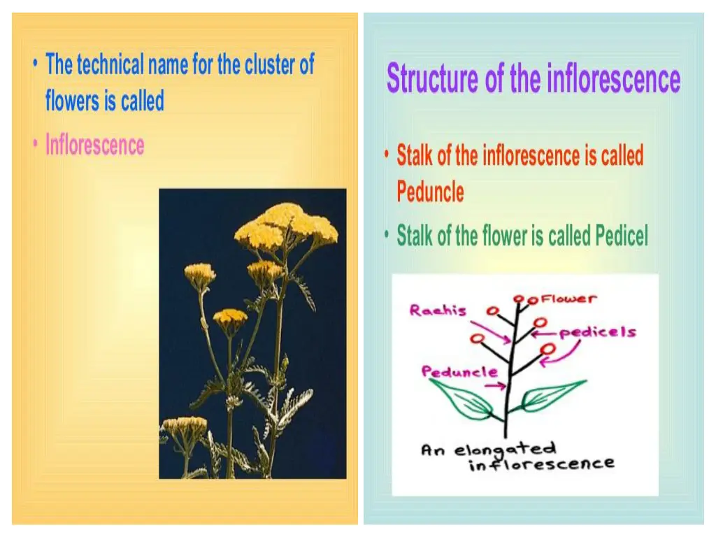 slide2