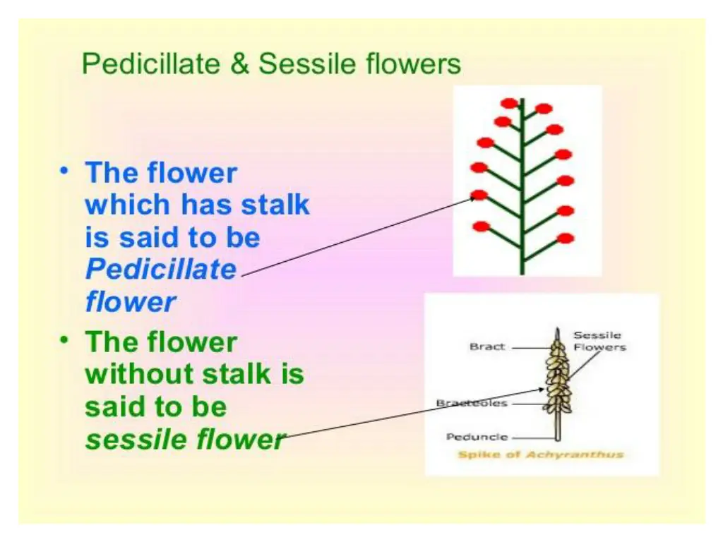 slide3