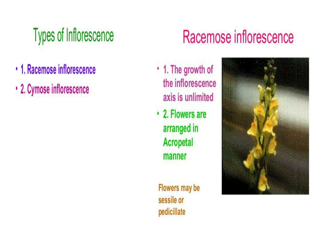 slide4