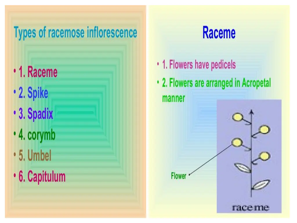 slide5