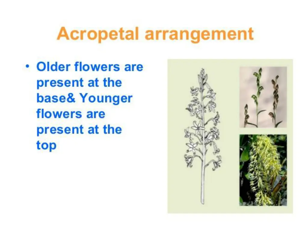 slide6