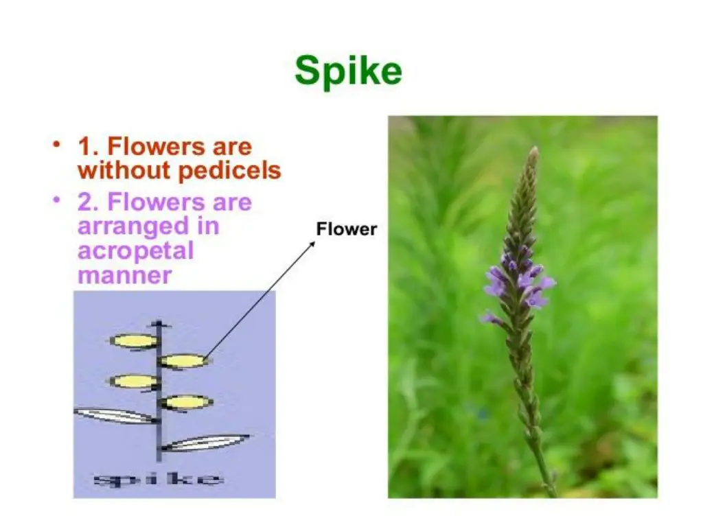 slide8