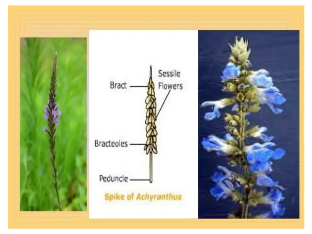slide9