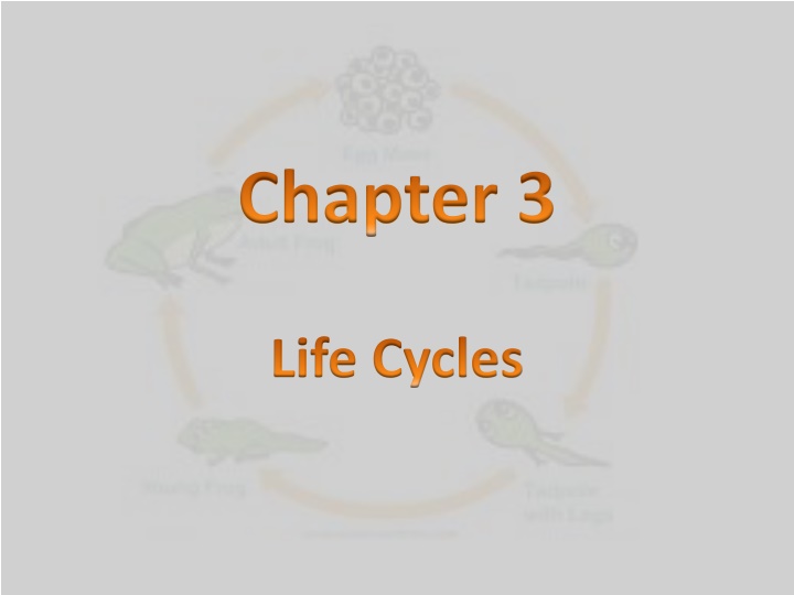 chapter 3
