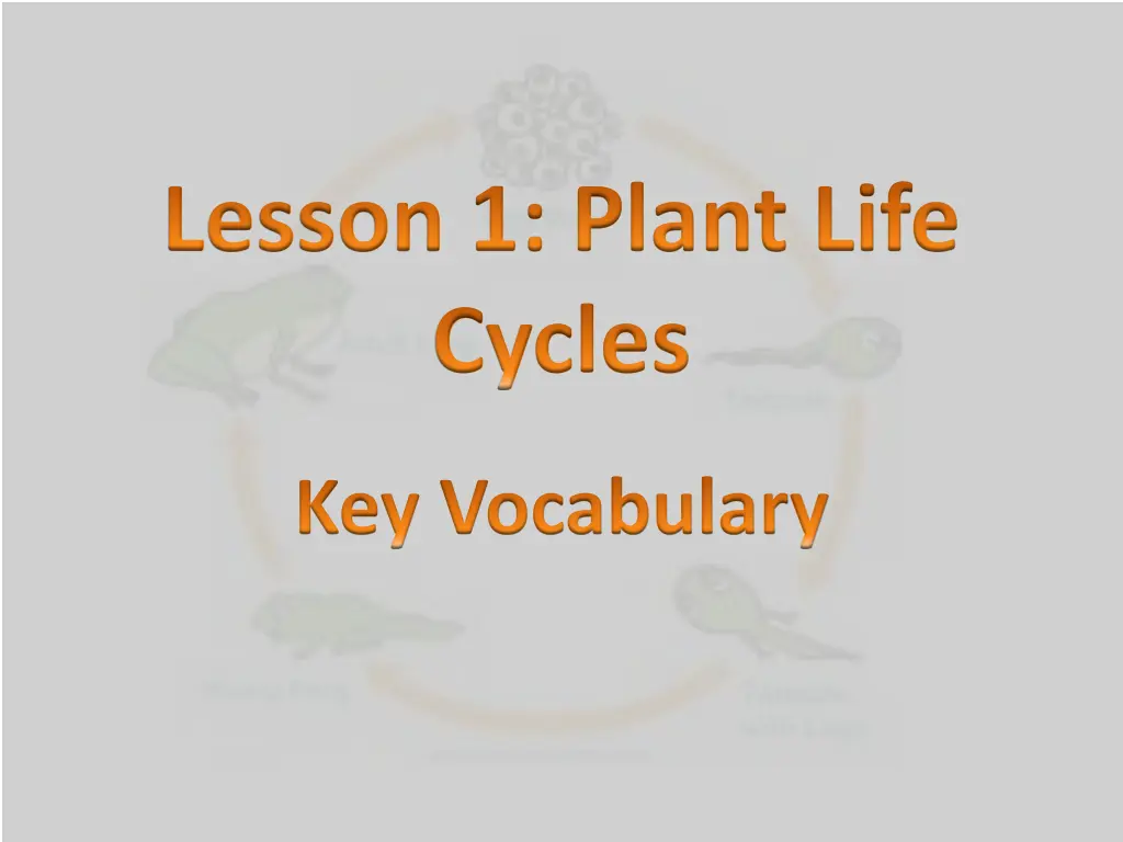 lesson 1 plant life cycles