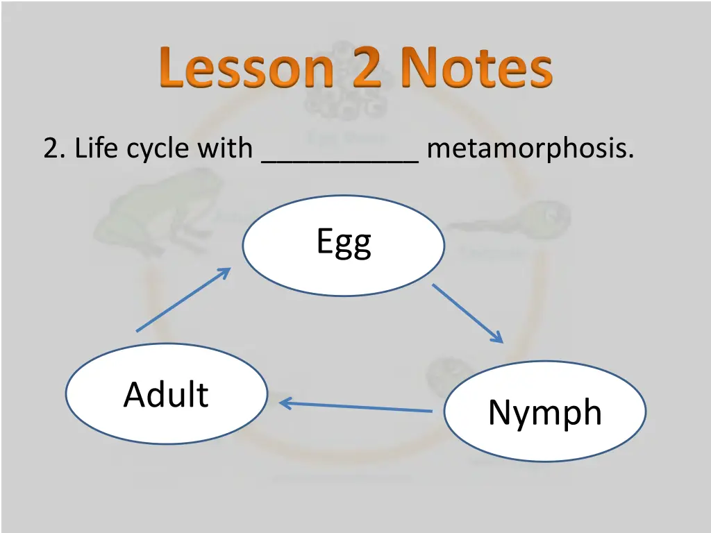 lesson 2 notes 1