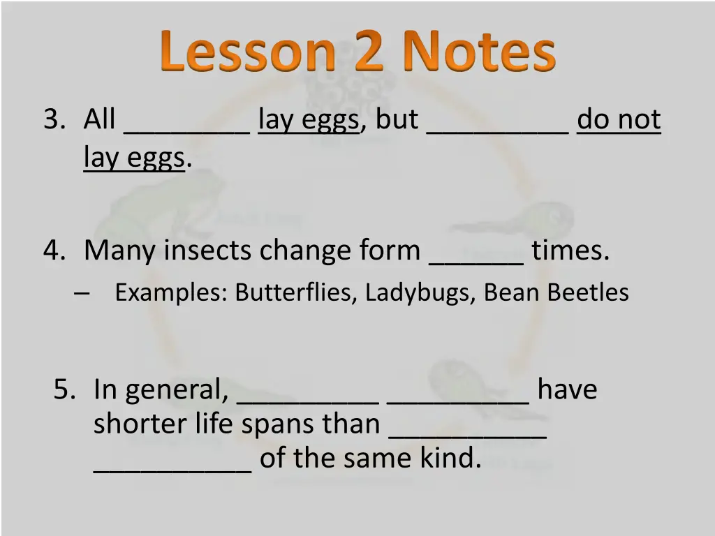 lesson 2 notes 2