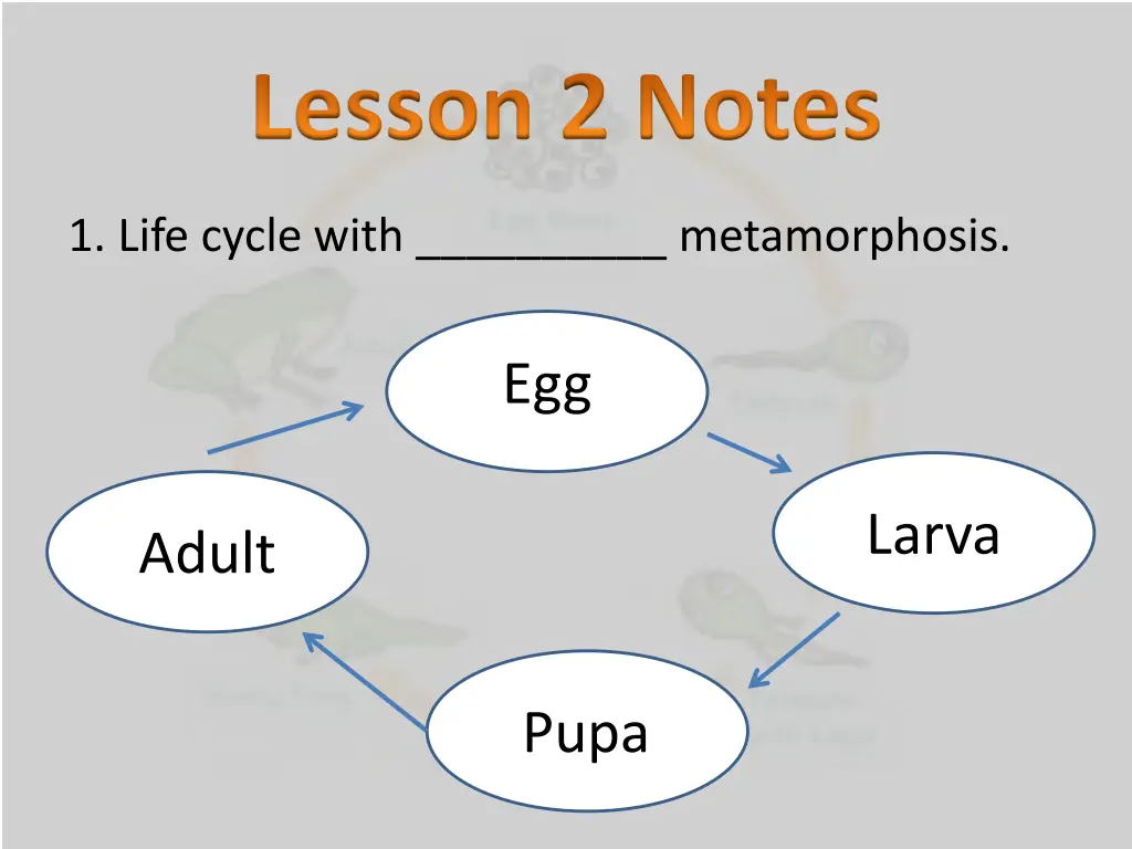 lesson 2 notes