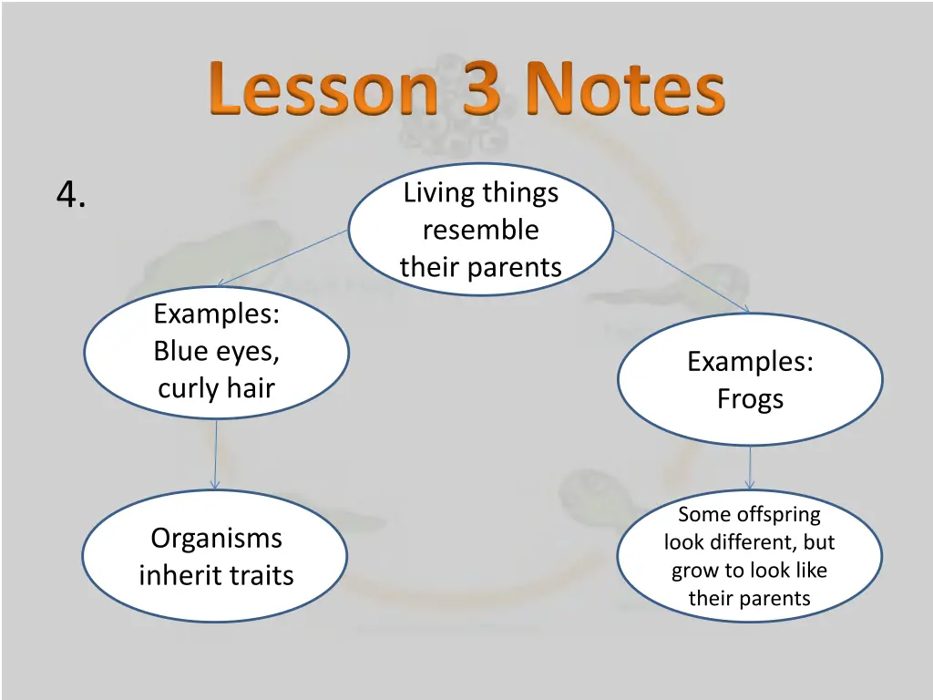 lesson 3 notes 1