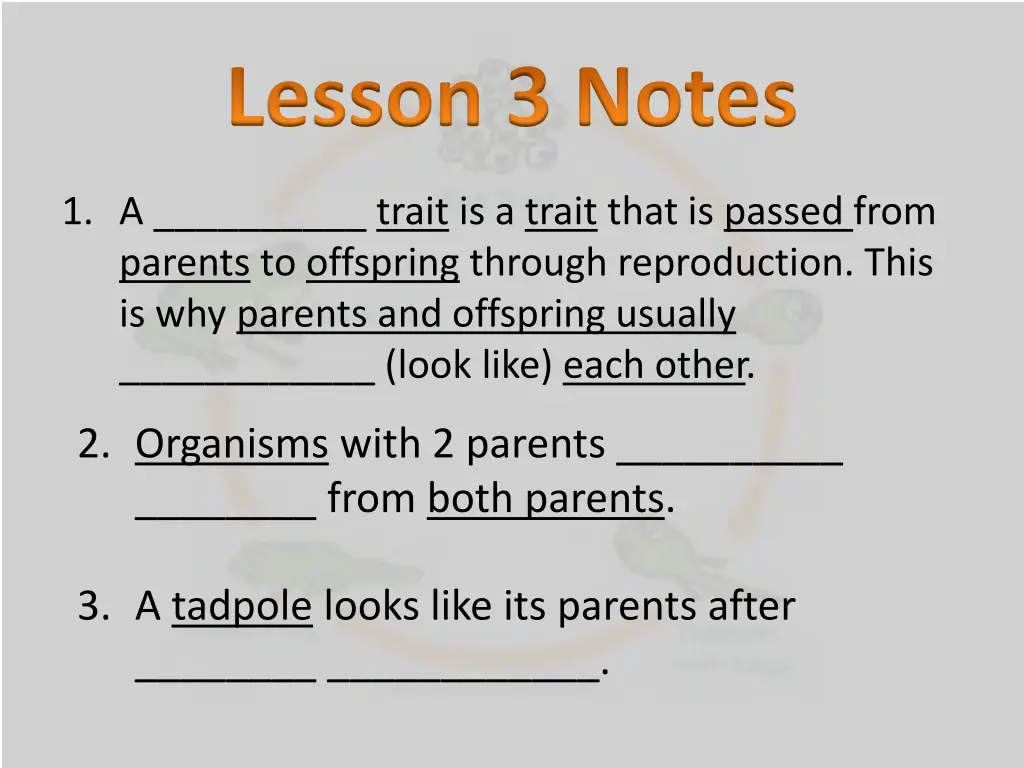 lesson 3 notes