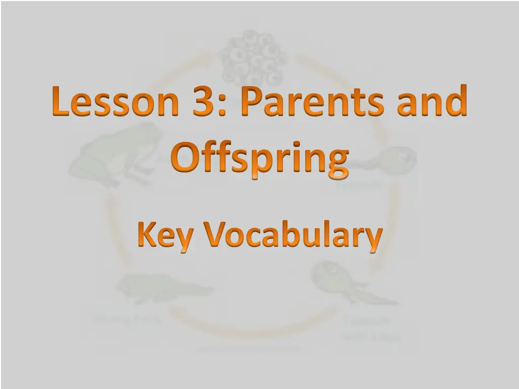 lesson 3 parents and offspring
