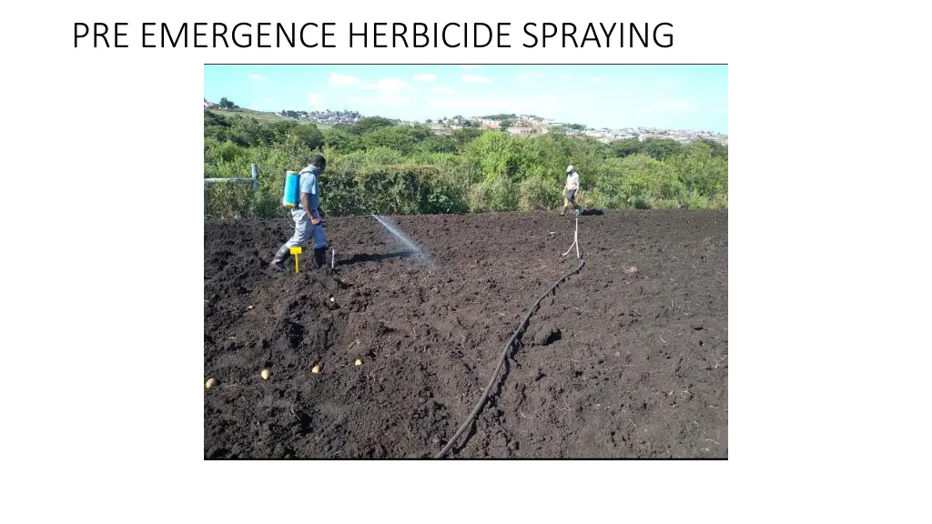 pre emergence herbicide spraying