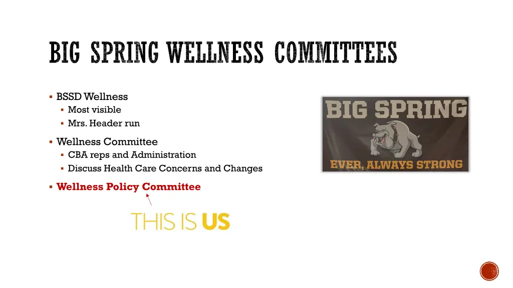 big spring wellness committees