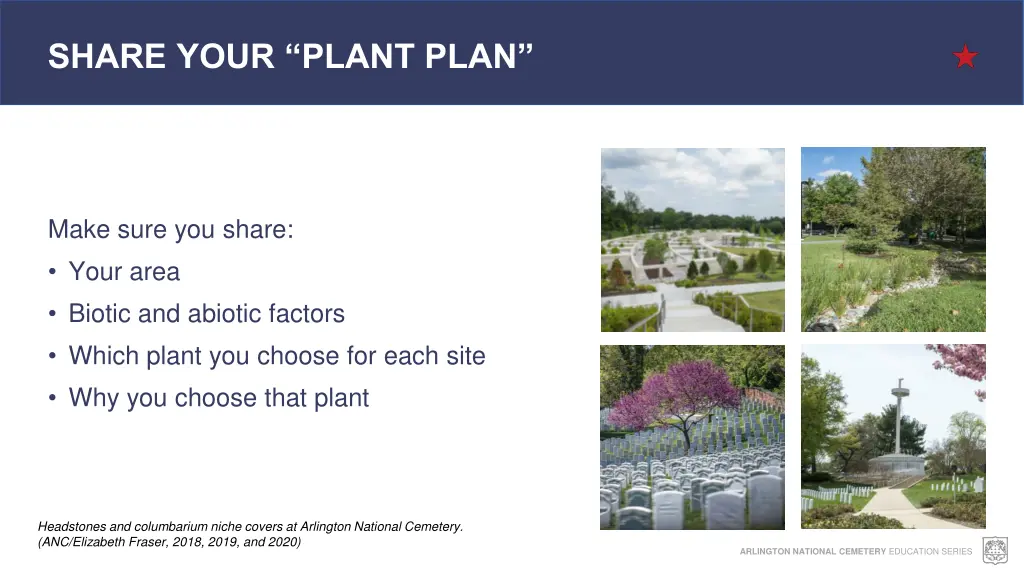 share your plant plan