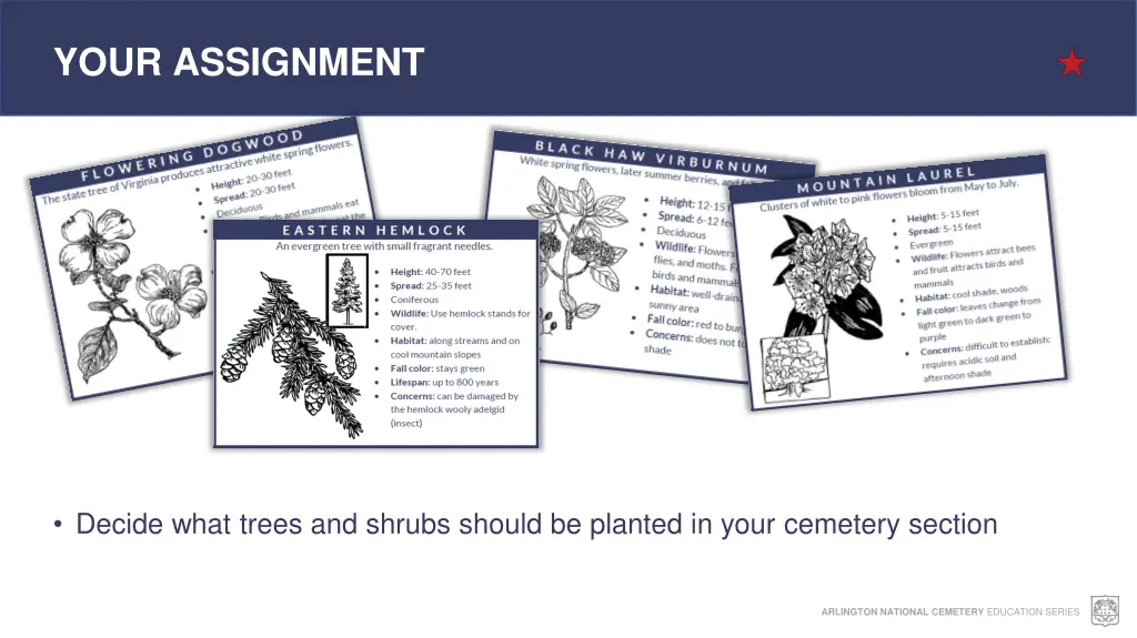 your assignment