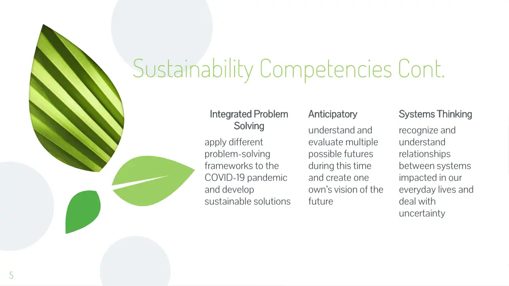 sustainability competencies cont