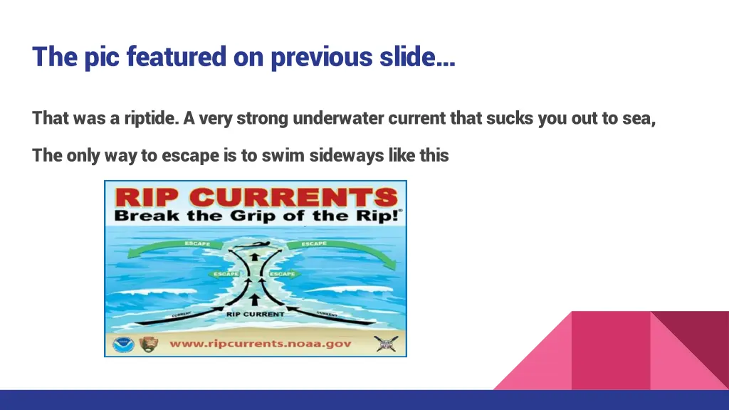 the pic featured on previous slide