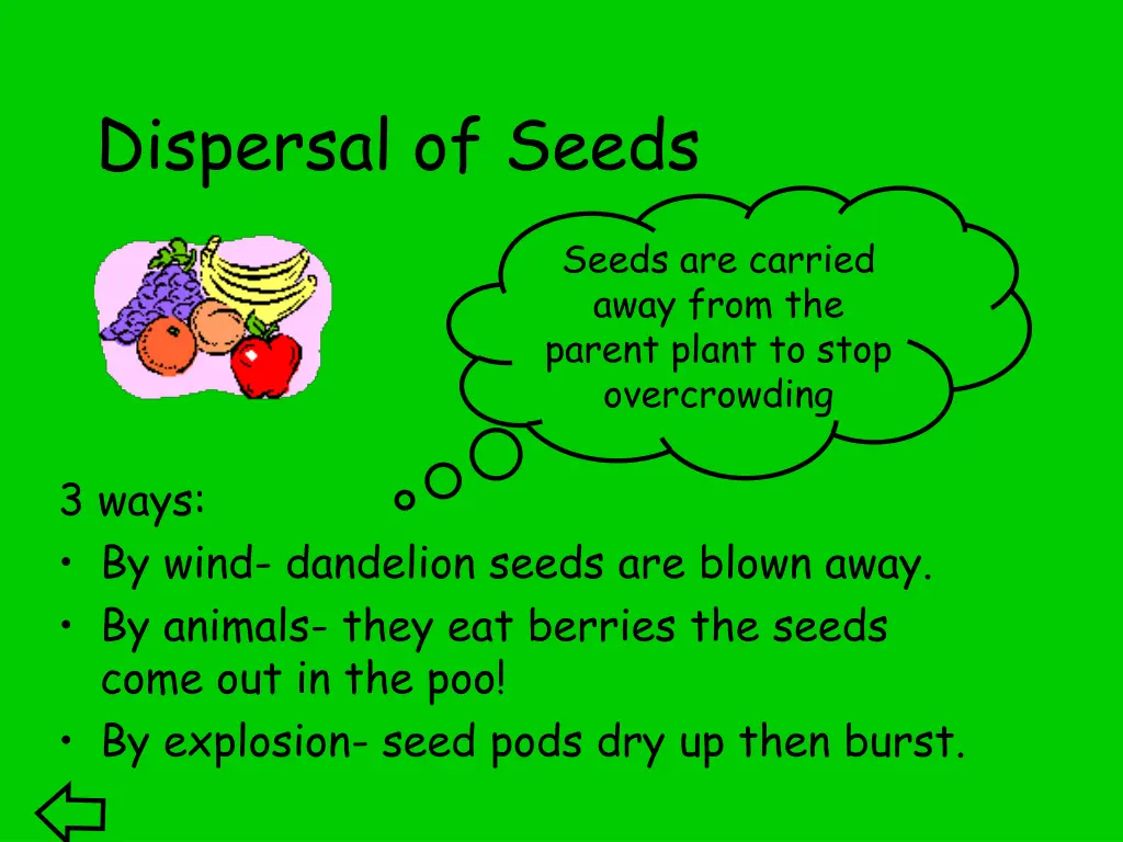 dispersal of seeds