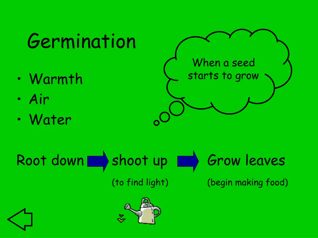 germination