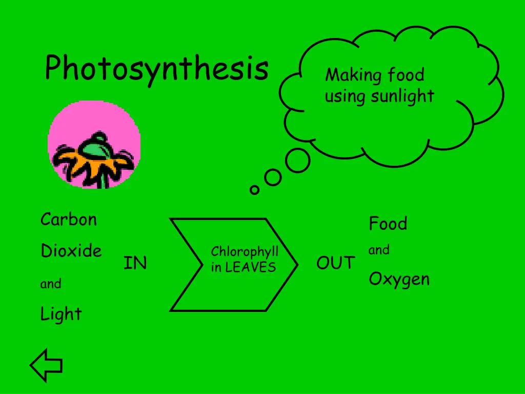 photosynthesis
