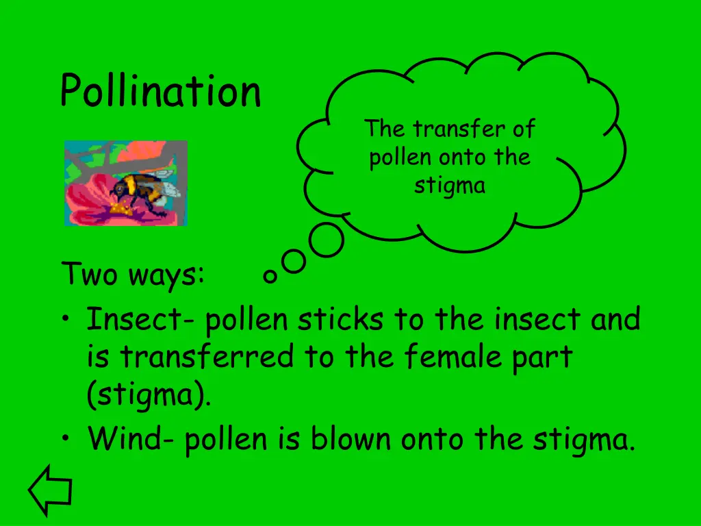 pollination