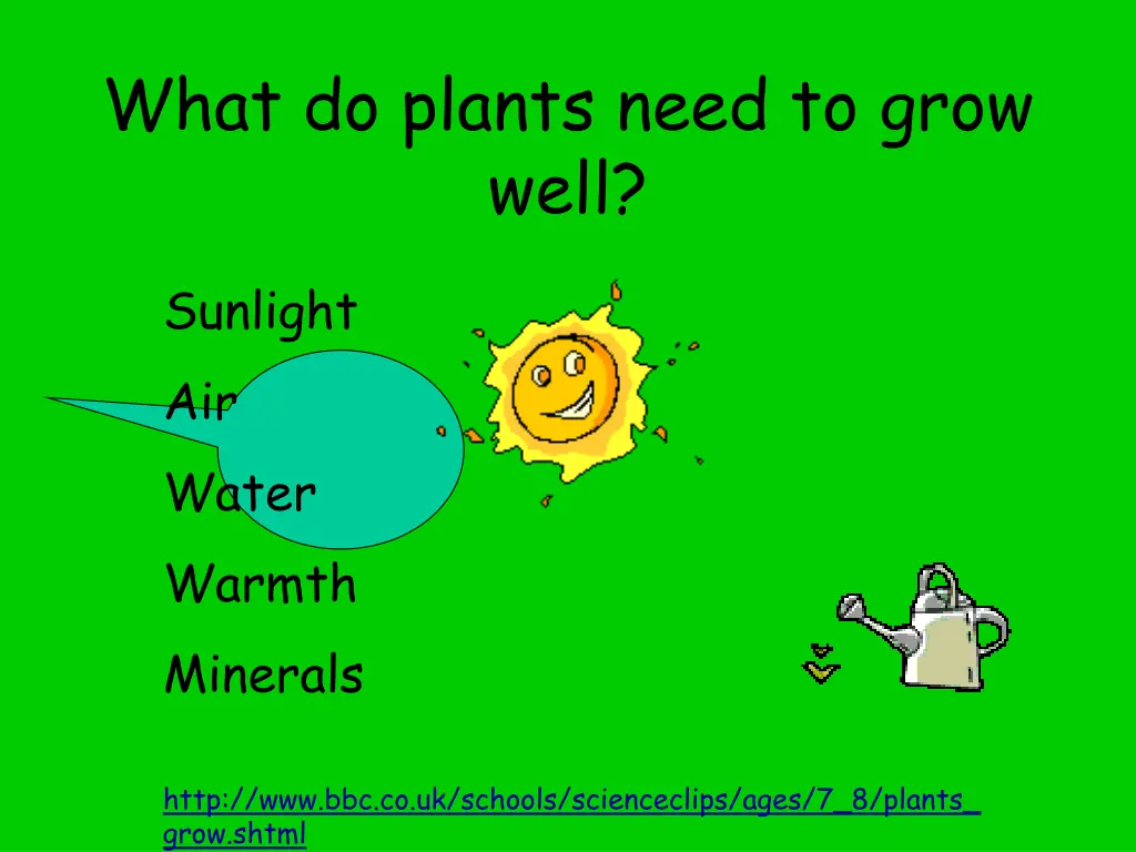 what do plants need to grow well