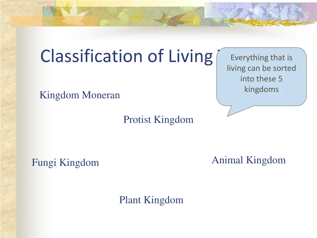classification of living things