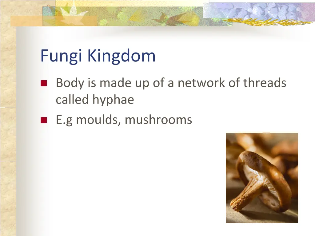 fungi kingdom