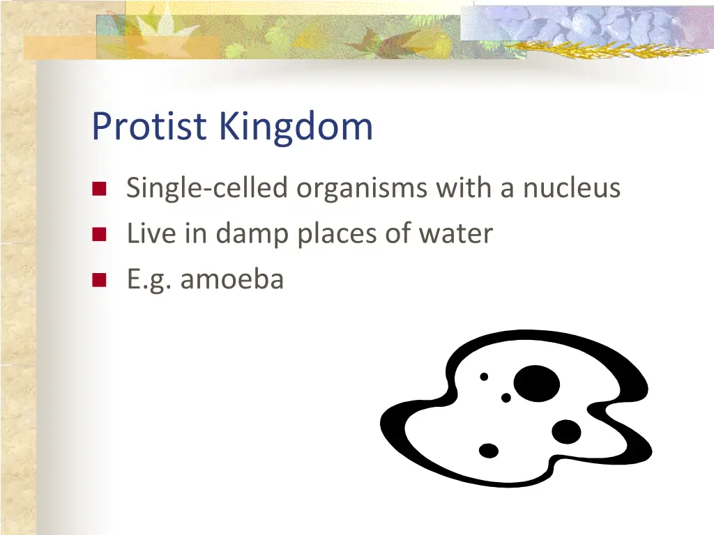protist kingdom