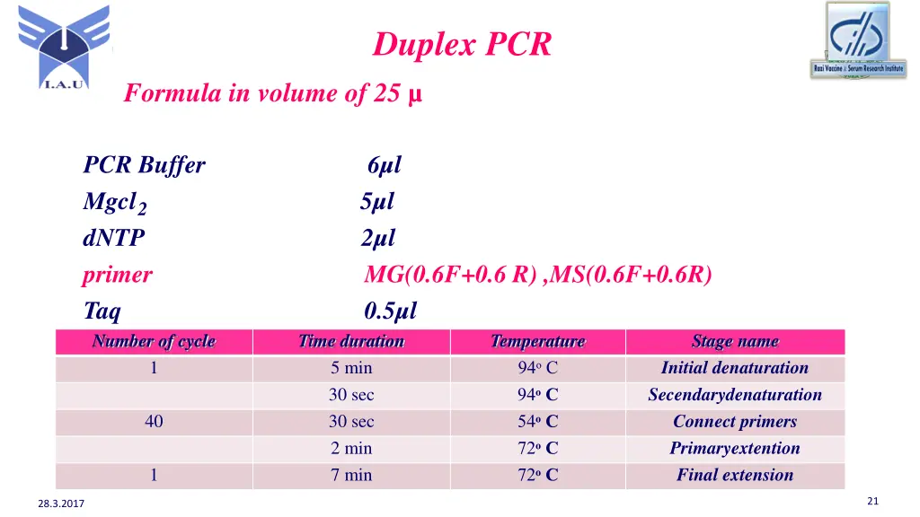 duplex pcr