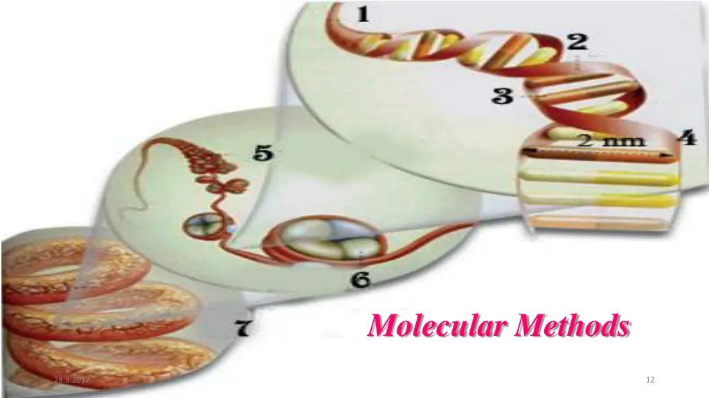 molecular methods