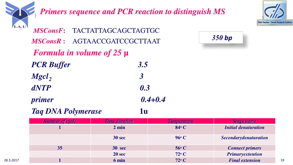 primers sequence and pcr reaction to distinguish