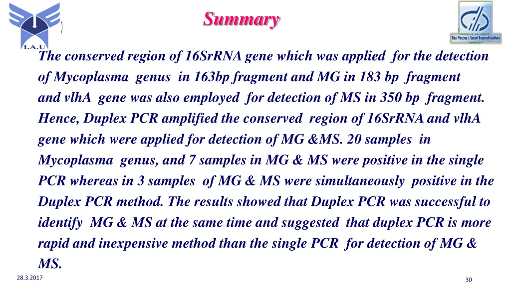 summary 1