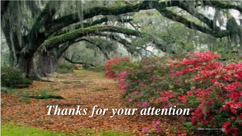 thanks for your attention