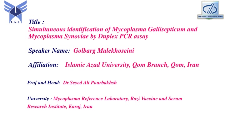 title simultaneous identification of mycoplasma