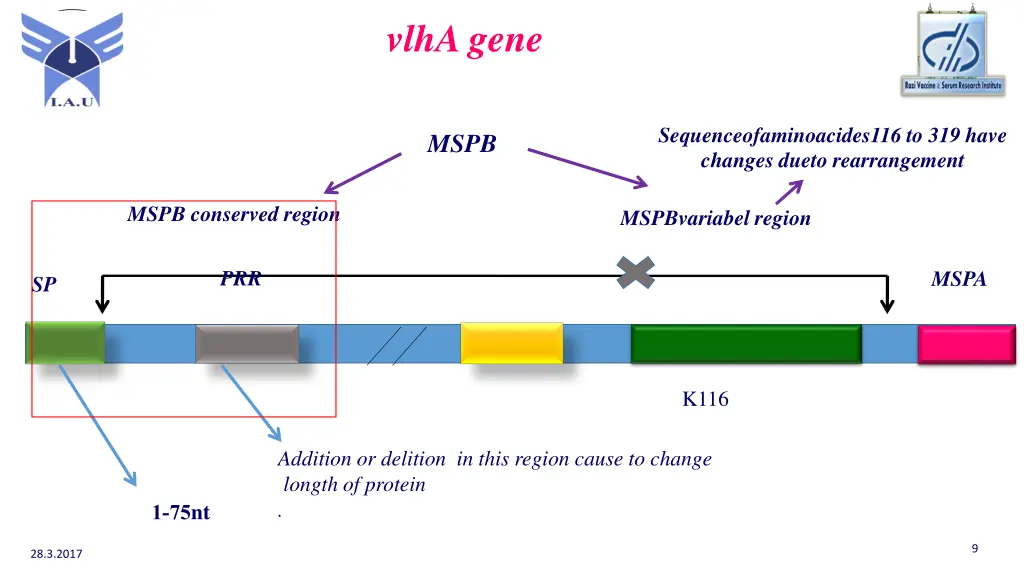 vlha gene