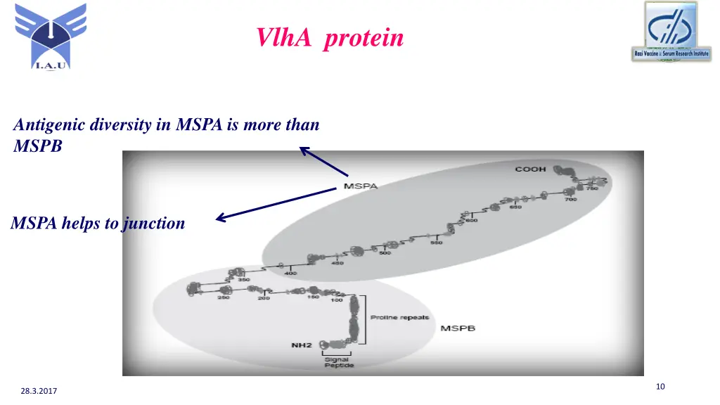 vlha protein