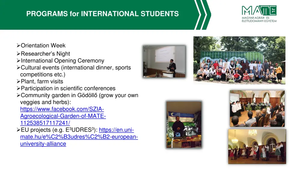 programs for international students