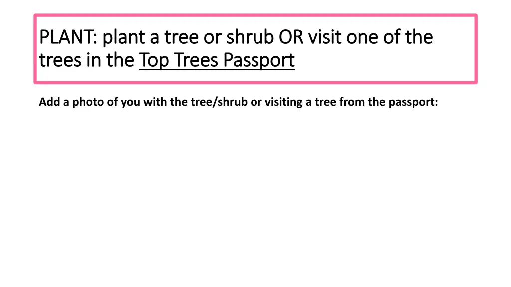 plant plant a tree or shrub or visit