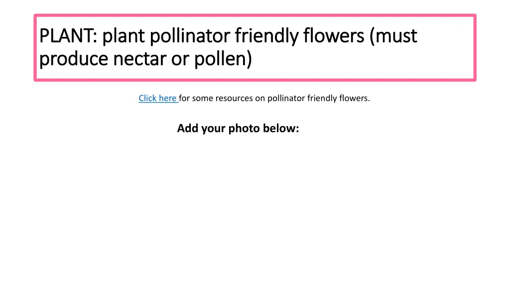 plant plant pollinator friendly flowers must
