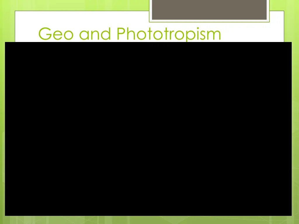 geo and phototropism