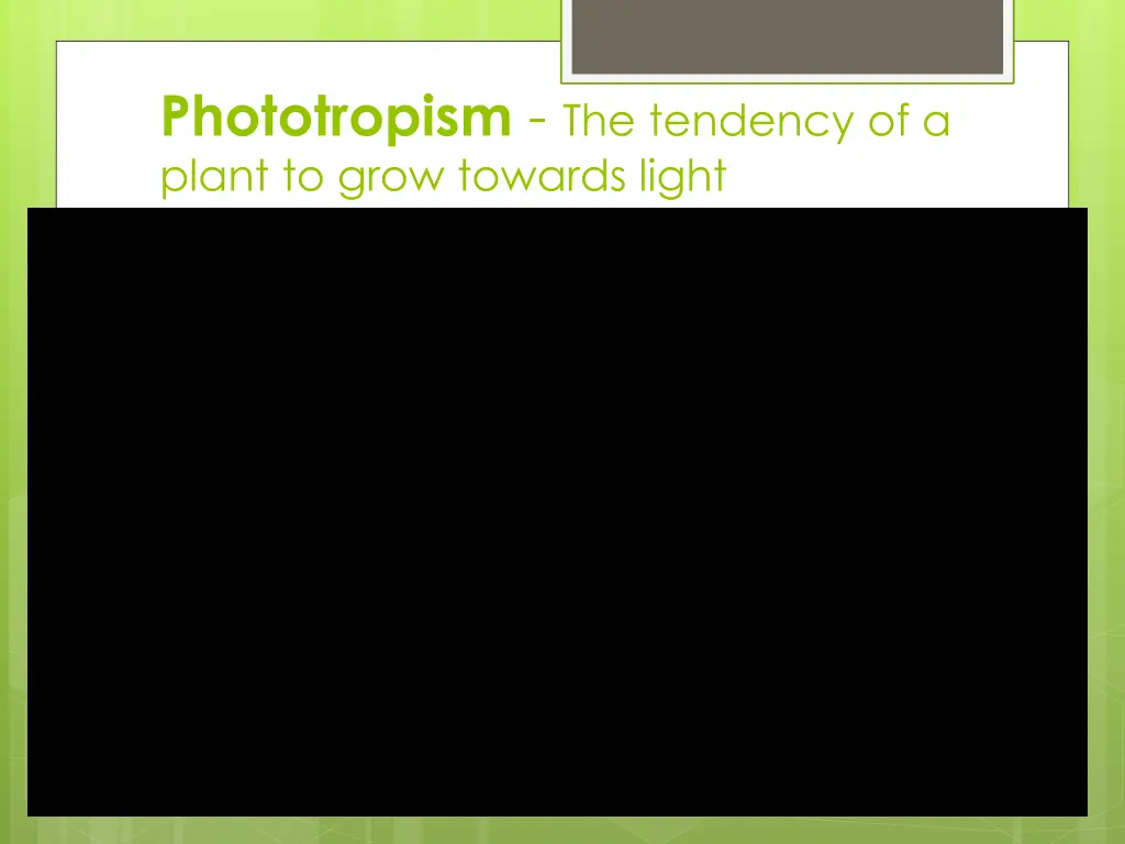 phototropism the tendency of a plant to grow